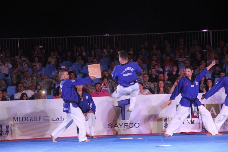 Martial Arts Festival